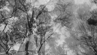 Dan Melchior excerpt from the Souls of Birds and Mice LP