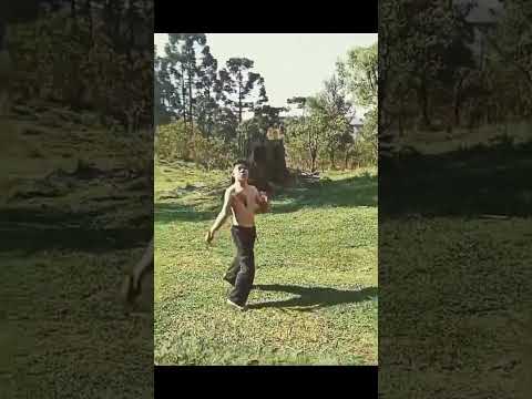 Bruce Lee Mirim #humor #shorts