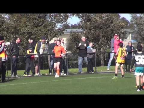 EDFL U10 Div 1 , Grand Final, 18 08  13, Hillside vs Strathmore