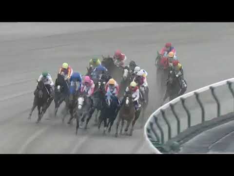 2023 JRA TOKYO February Stakes