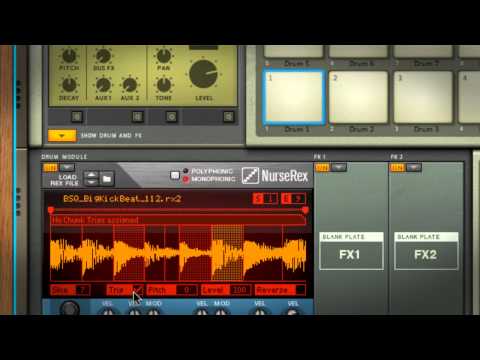 Reason Micro Tutorial - Kong's Nurse Rex Loop Player