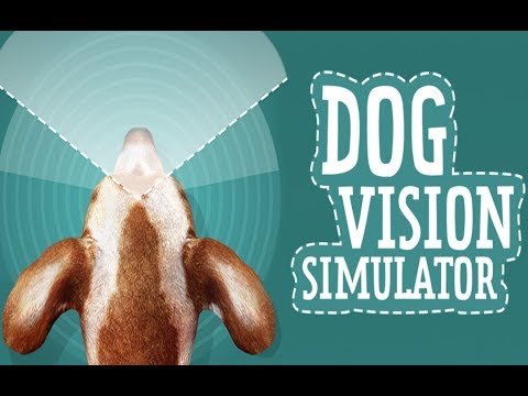 Dog Vision Simulator Video