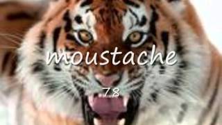 WINFIELD PARKER.. WILL THERE EVER BE ANOTHER LOVE FOR ME