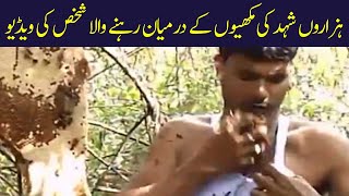 man stuffs mouth with hundreds of live bees  man l