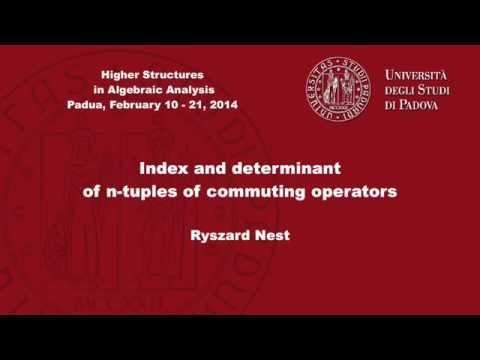 Ryszard Nest - Index and determinant of n-tuples of commuting operators