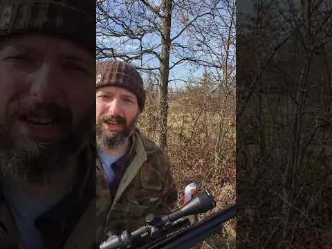 Turkey Airbow #shorts