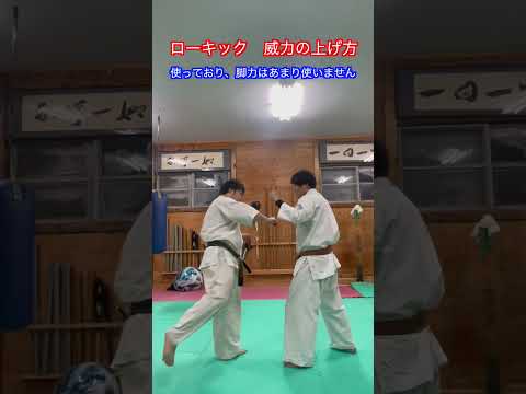 【武道・格闘技】ローキックの威力を上げる方法！！　#aikido ＃karate #martial #合気道 #武道 #空手