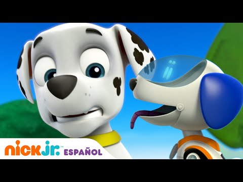 PAW Patrol | ¡Los cachorros salvan a un cachorro robot salvaje! | Nick Jr. en Español