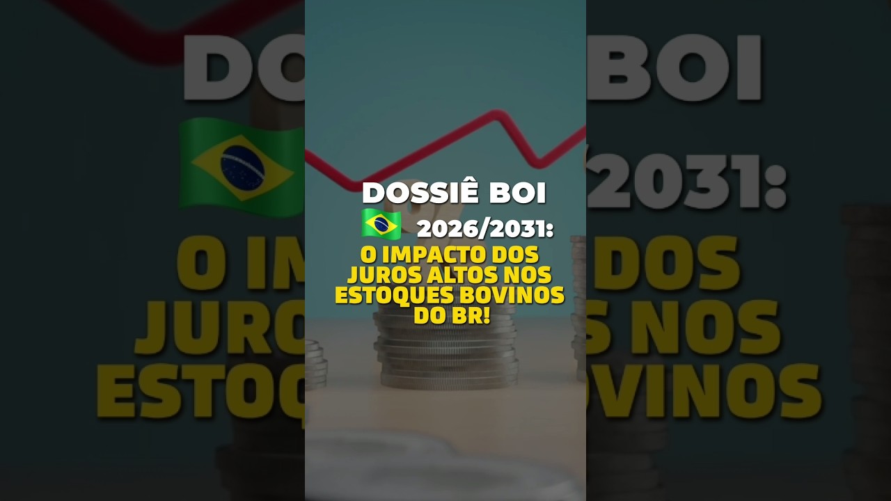 DOSSIÊ BOI BR 2026 / 2031: O IMPACTO DOS JUROS ALTOS NOS ESTOQUES BOVINOS DO BR!