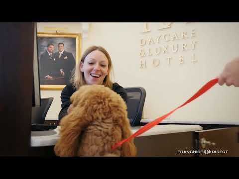 , title : 'K9 Resorts Daycare & Luxury Hotel Overview