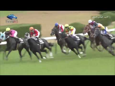 2018.11.18 Shumeigiku Sho (JPN) - Rosen Krieger