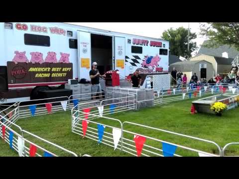 The Big E Pig Races, West Springfield, MA 2015
