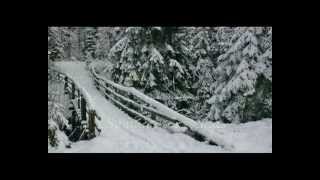 Winter Wonderland * Tony Bennett