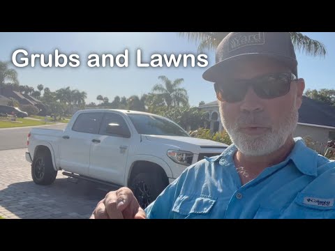 The TRUTH ABOUT GRUB TREATMENT For The Lawn
