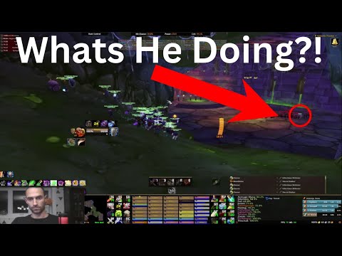 Naxx Speedrun: Faerlina Petri Pull - Definitely DANGEROUS!