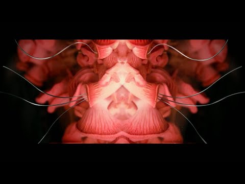 Video thumbnail for Baronesse