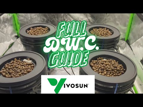 This DWC Setup Will Change the Way You Grow - VIVOSUN (DWC Grow Series Ep. 2)