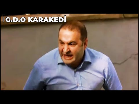 DELİRTTİNİZ LAN BENİ! | G.D.O Kara Kedi | Şafak Sezer Komedi Filmi