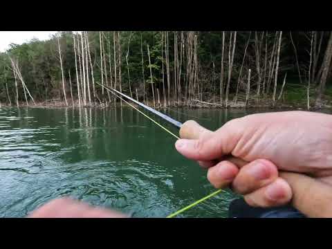 Pescuit cu lanseta Scott Centric.Barajul Siriu.