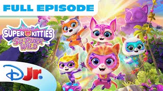 Download lagu SuperKitties Full Episode 'Mega Mouse / Wild Jungle'! 🌴🐾 | Season 3 Episode 1 |  @disneyjr mp3