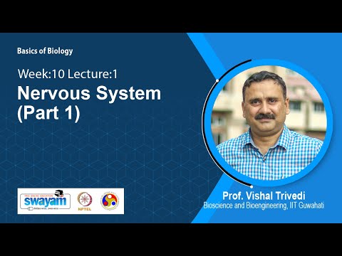 Basics of Biology Intro Video