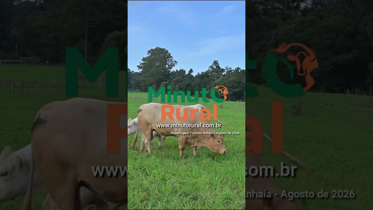 🐂 Purunã ganha tecnologia para acelerar a genética