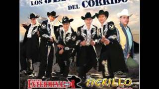 La Fiesta De Los Perrones Music Video