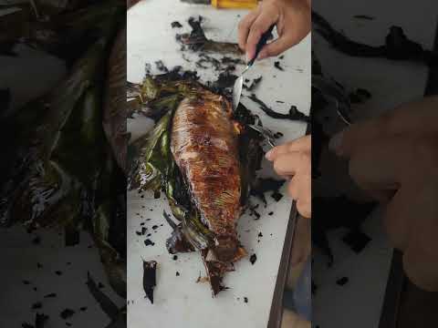 “Matrinchã na Folha de Bananeira: Sabor Tradicional da Culinária do Norte” #acre #cruzeirodosul