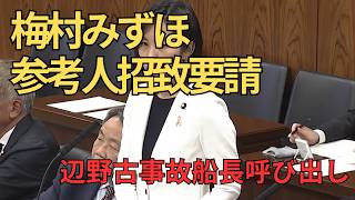 参政党・梅村みずほ議員、辺野古事故船長の参考人招致を要請#参政党