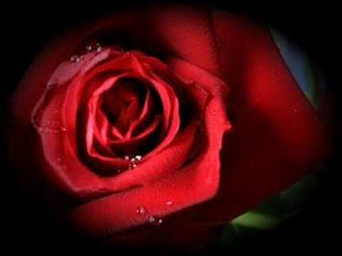 Bauk Squad - Valjao Sam Ruzhe