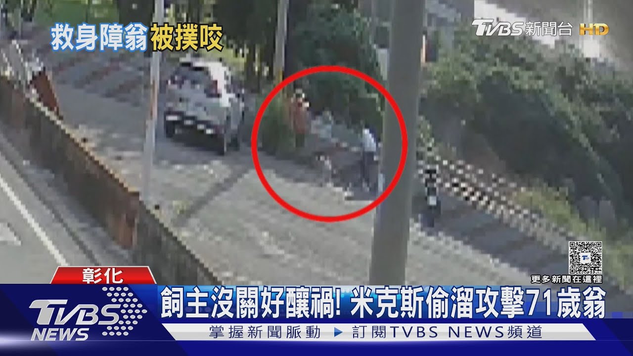 飼主看管不當! 米克斯犬狂咬失右手阿伯 彰化議員見義勇為慘遭攻擊