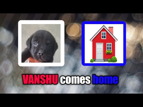 VANSHU comes HOME