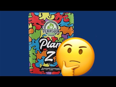 Plan Z Strain