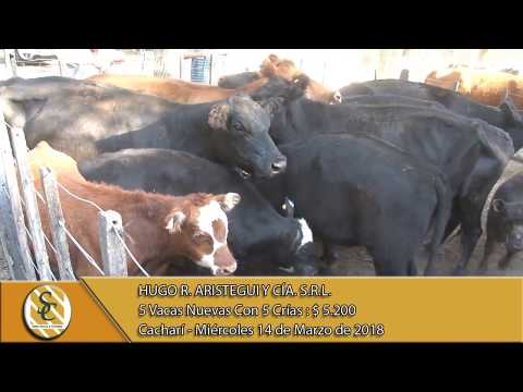 14-03-18 Venta de Vientres - Hugo R. Aristegui y Cía. S.R.L. - Cacharí