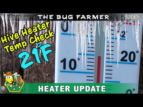 Beehive Heater Temp Check on a 21F Day: Are the hive heaters able to keep up and keep the bees warm?