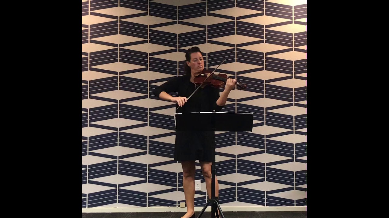 Promotional video thumbnail 8 for Brooksley Bishop Violinist
