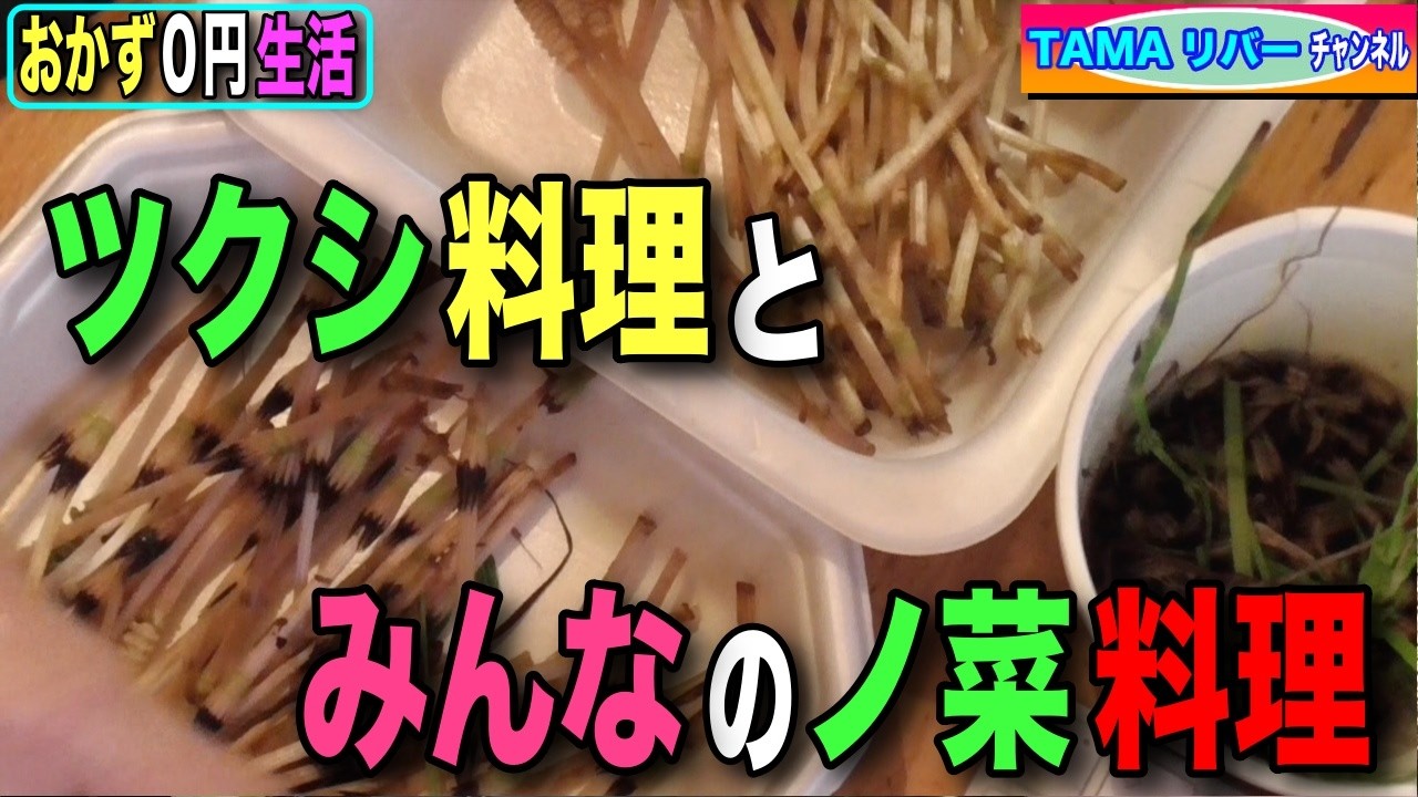 【おかず０円生活】ツクシ料理とみんなの料理