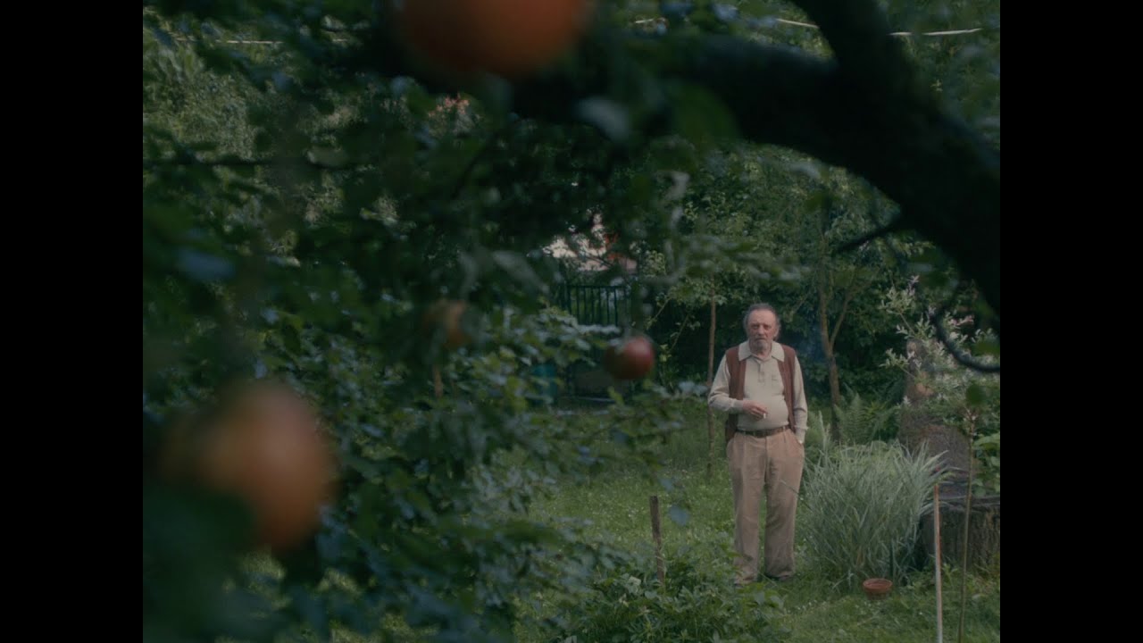 Egy Tiszta Pillanat - Előzetes