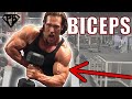 Bicep Peaks 4 Best Ways to Build Bigger Arms | Mike O’Hearn