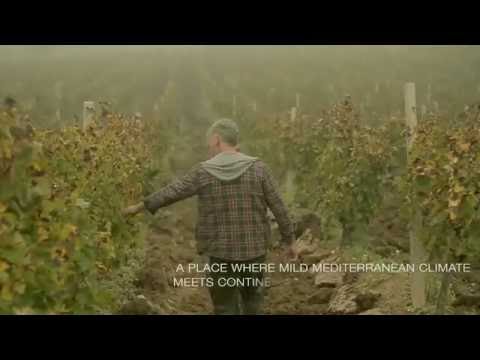 Tikveš... A passion that lasts for 130 years