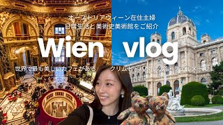 【無料じゃないんかい！🇦🇹🔍】美術史美術館/第１日曜日は無料って聞いたけど！？/オーストリア在住主婦の観光DAY/Wientourism/livinginWien/artmuseumWien
