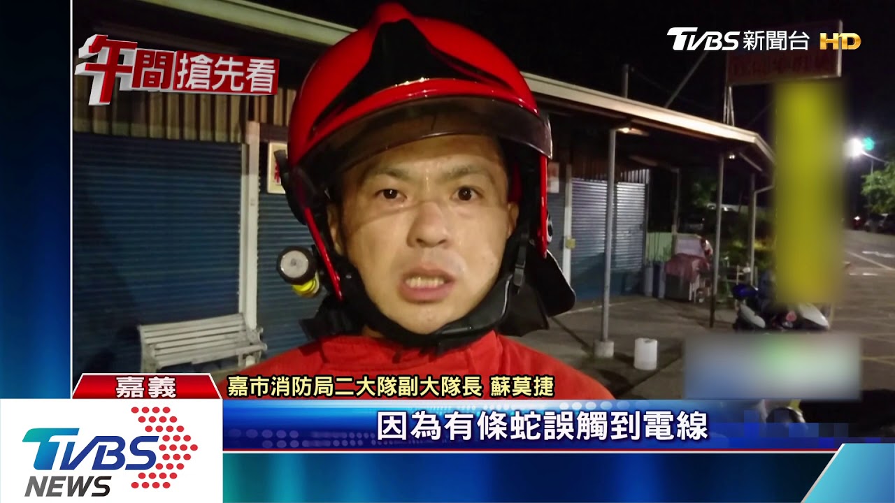 社區停電、大樓竄濃煙 蛇爬電線杆惹禍