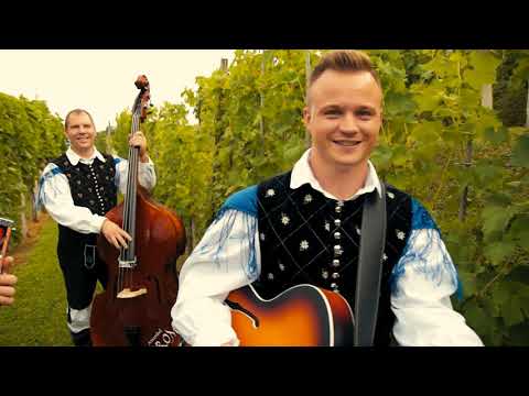 Ansambel Grom - Življenje je moj prijatelj