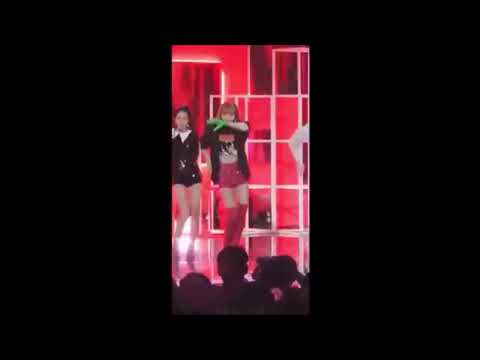 blackpink ddu du ddu du dance break mirrored