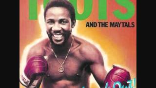 Toots & The Maytals   Careless Ethiopians