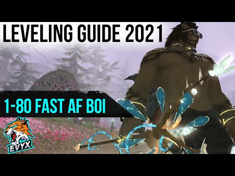 Leveling Guide 1-80 | By Someone Who MAXED ALL in ~1 Month