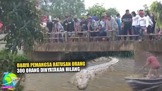Download lagu Berusia Lebih Dari 100 Tahun!! Buaya Pem4n9s4 300 0r4n9 Ini Baru Bisa Ditangkap Warga... mp3