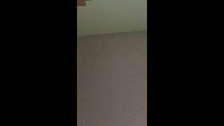 "1937 State Park" Car Seat Headrest acoustic cover by GO HOME!