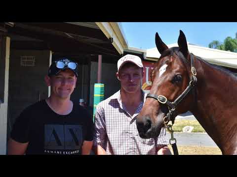 2018 Gold Coast Yearling Sale (Day 3) - scenes