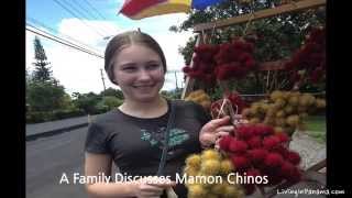 preview picture of video 'Epic Mamón Chino Season In Panama - Buy Red or Yellow?'